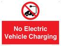 no-electric-vehicle-charging~